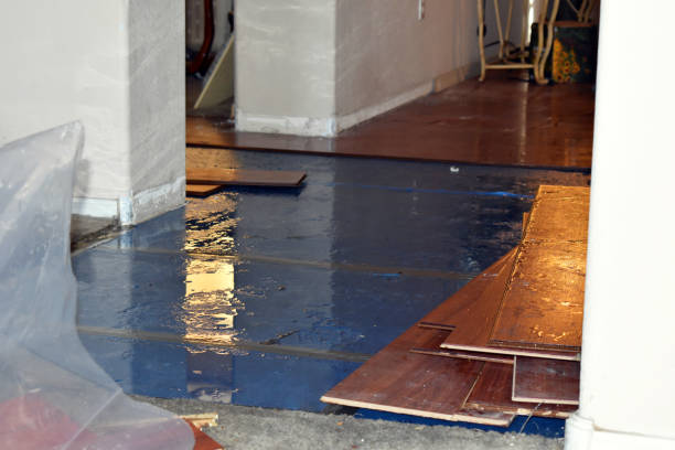 Professional Flood Damage Restoration technician working in Mentone, CA